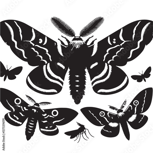 Black Venezuelan Poodle Moth Silhouette Vector, High Quality Illustration on White Background