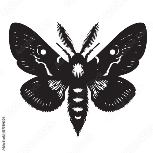 Black Venezuelan Poodle Moth Silhouette Vector, High Quality Illustration on White Background