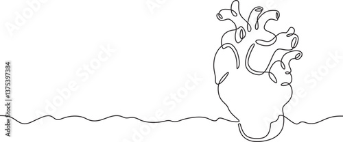 Continuous one line drawing human heart.Cardiology.Medicine.