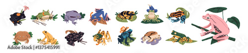 Set of exotic species of frogs. Cute froggies sit on lily leaves, have a rest. Poisonous toads, froglets. Tropical amphibian of rainforest. Flat isolated vector illustrations on white background
