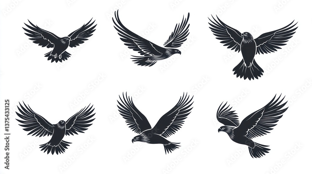 Six eagles in flight, isolated white background; design elements Six eagles in flight, isolated white background; design elements