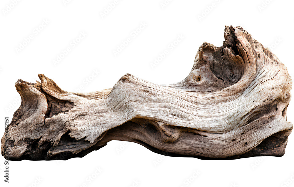 A piece of driftwood with an isolated background, transparent PNG background A piece of driftwood with an isolated background, transparent PNG background