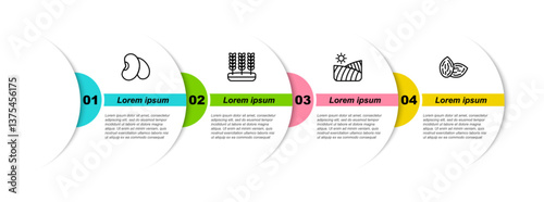 Set line Beans, Wheat, Agriculture wheat field and Seed. Business infographic template. Vector