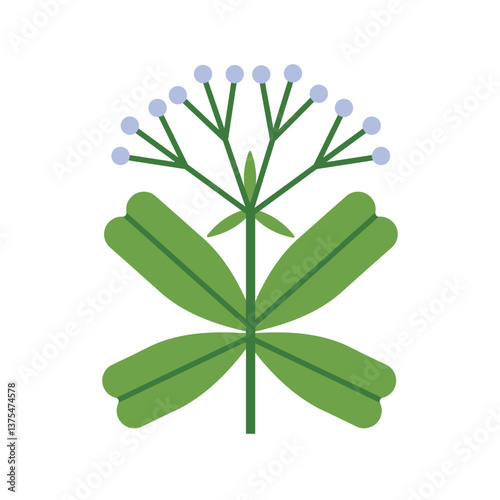 Floral branch with leaves. Spring field plant with tiny flowers. Gentle delic...