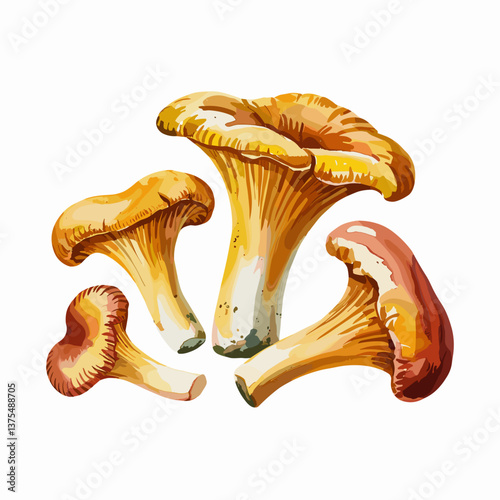 Chanterelle Mushrooms Watercolor Illustration Print