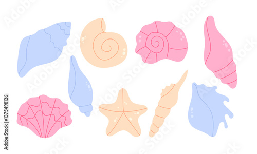 Collection of hand drawn sea shells on a white background