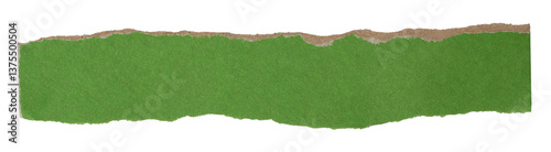 Isolated torn orange stripe of green paper on white background, copy space