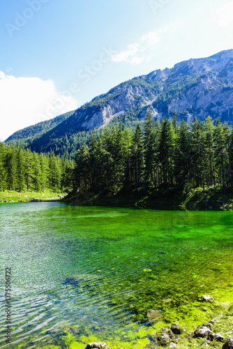 Tragöss, Grüner See, Österreich, Steiermark