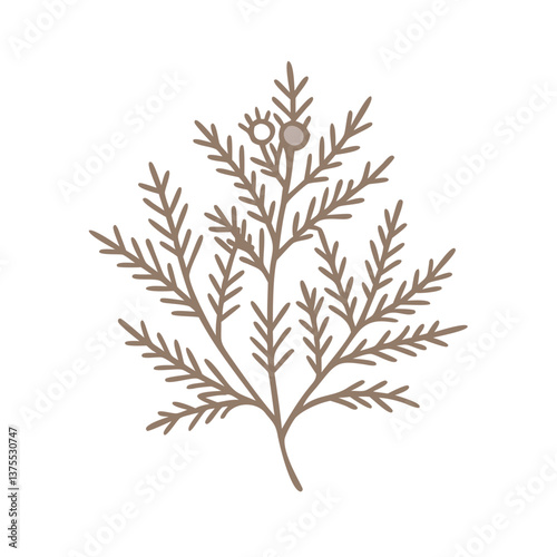 Stylized Juniper Branch with Berries Illustration