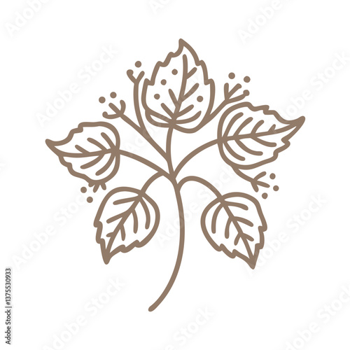 Linden Tree Branch Line Art Illustration