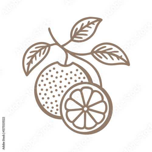 Minimalist Orange Fruit Illustration with Leaves