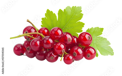 Red currant isolated on transparent background, clipping path, full depth of field