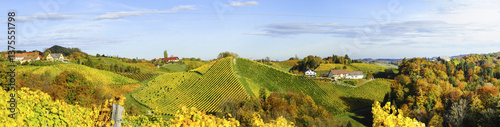 Obraz na płótnie Südsteirische Weinstrasse im Herbst, Österreich, Steiermark, S w salonie
