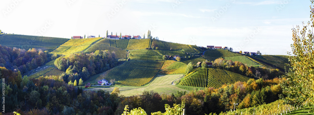 Südsteirische Weinstrasse im Herbst, Österreich, Steiermark, S