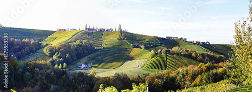 Obraz na płótnie Südsteirische Weinstrasse im Herbst, Österreich, Steiermark, S w salonie