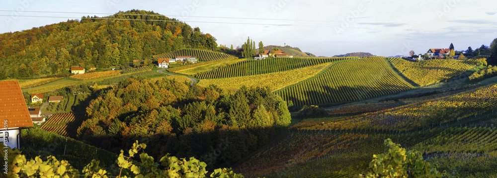 Südsteirische Weinstrasse im Herbst, Österreich, Steiermark, S