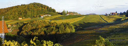 Südsteirische Weinstrasse im Herbst, Österreich, Steiermark, S