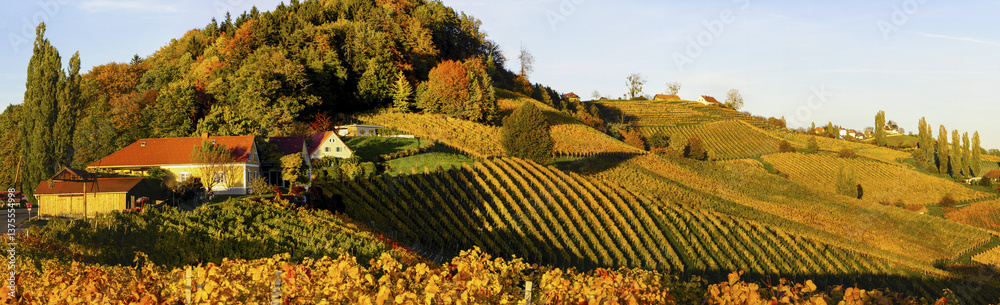 Südsteirische Weinstrasse im Herbst, Österreich, Steiermark, S