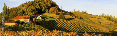 Obraz na płótnie Südsteirische Weinstrasse im Herbst, Österreich, Steiermark, S w salonie