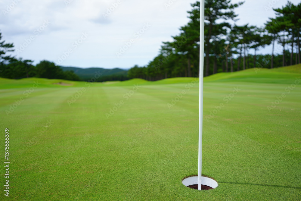 Pristine golf course with hole and flagstick on lush green fairway Pristine golf course with hole and flagstick on lush green fairway