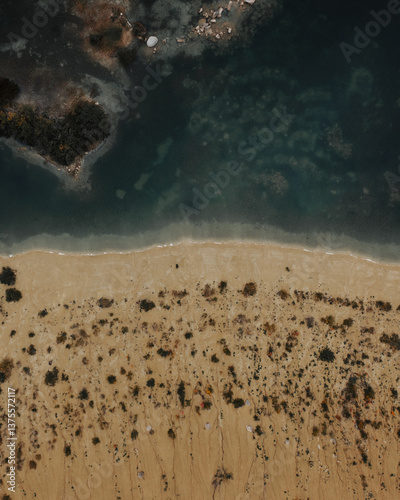 beach in the morning