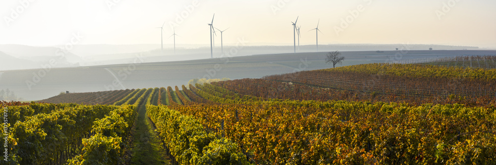 Weinbaugebiet Blaufränkisch Land, Deutschkreutz, Burgenland, Ö