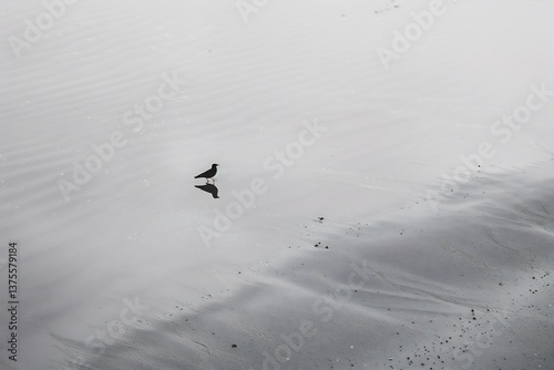lots of empty space and the bird is