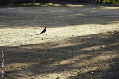 lots of empty space and the bird is small