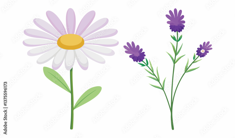 Fototapeta premium pink daisy flowers