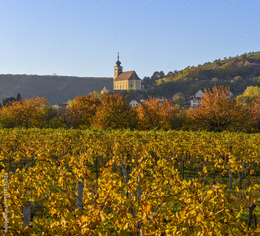 Weinbaugebiet, Donnerskirchen, Leithagebirge, Burgenland, Öster