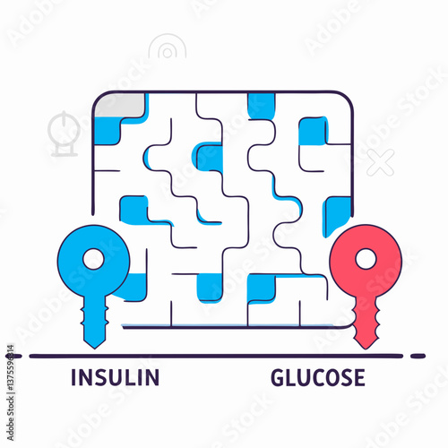 
Insulin  human body Vector