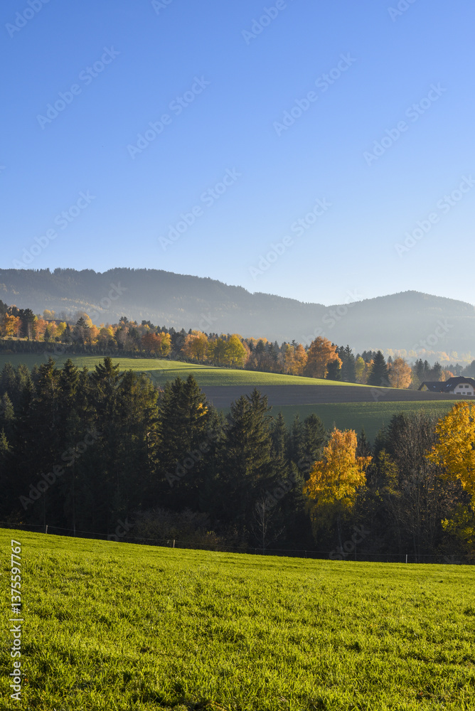 Vorau-Puchegg, Steiermark, Österreich, 2015