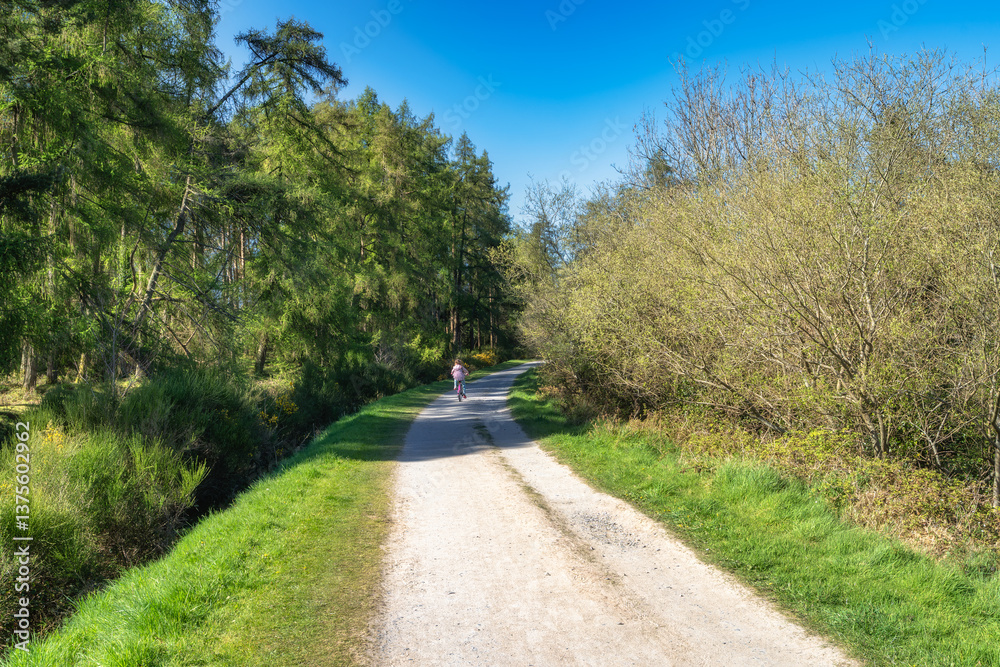 A picturesque gravel path surrounded by lush greenery is ideal for enjoying relaxing strolls, engaging in outdoor activities and creating moments with friends, Bohernabreena Reservoir, Dublin, Ireland