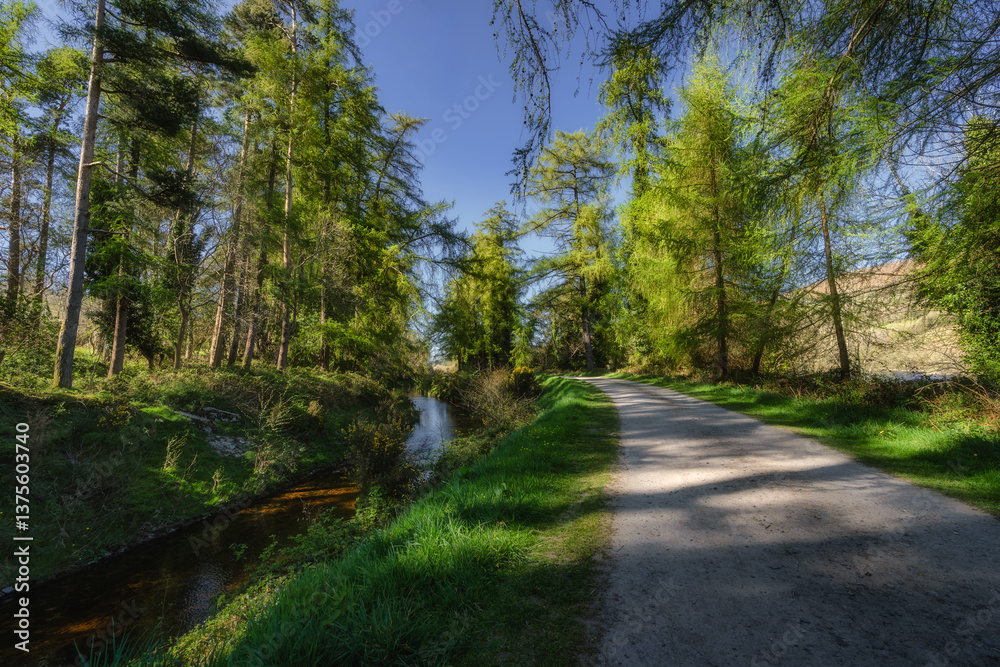 A beautiful and tranquil pathway that runs alongside a gentle, bubbling stream, surrounded by vibrant green trees, all in bright, clear and beautiful weather, Bohernabreena Reservoir, Dublin, Ireland