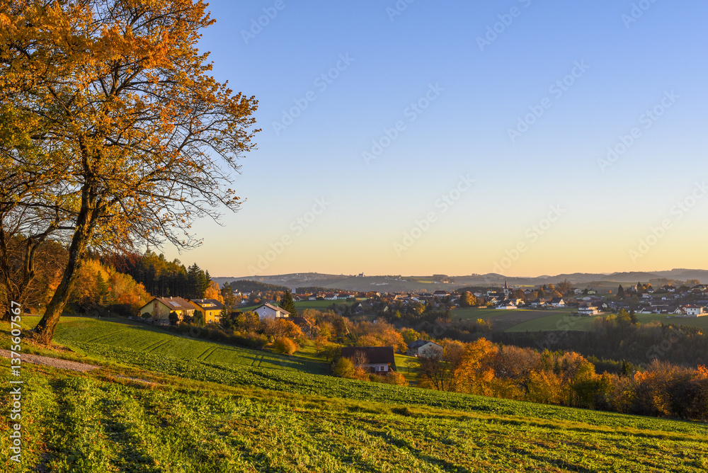 Rosalia, Bucklige Welt, NIederösterreich, Österreich