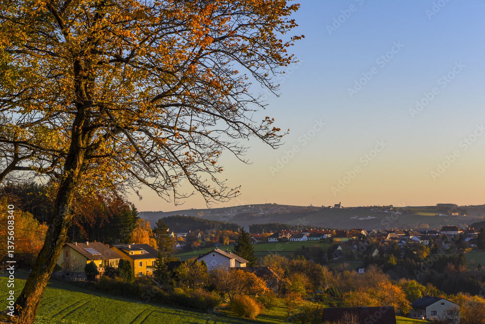 Rosalia, Bucklige Welt, NIederösterreich, Österreich