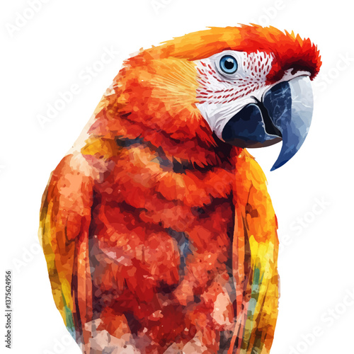 Beautiful colorful parrot vector illustration on white background