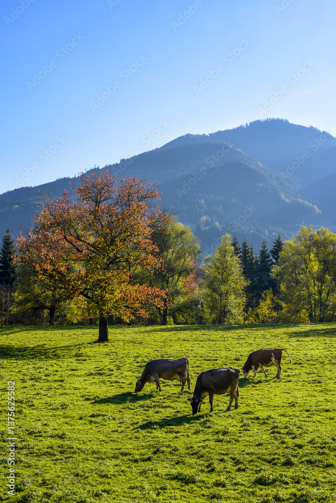 Hall, Ennstal, Steiermark, Österreich, 2015