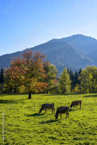 Obraz na płótnie Hall, Ennstal, Steiermark, Österreich, 2015 w salonie