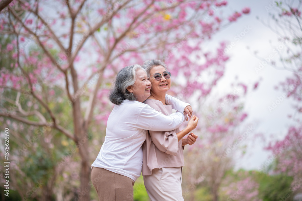 Elderly women with gray hair enjoying a beautiful moment together Elderly women with gray hair enjoying a beautiful moment together