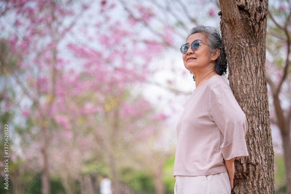 Elderly women with gray hair enjoying a beautiful moment together Elderly women with gray hair enjoying a beautiful moment together
