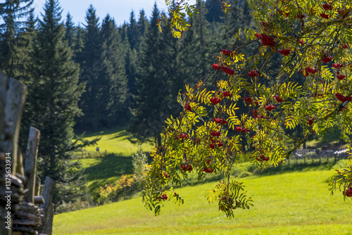 Wirtshaus Steirereck am Pogusch, Steiermark, Österreich, 2015,