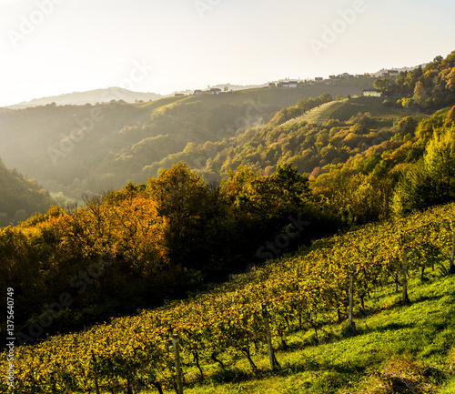 Römerstrasse, Weinbaugebiet Sausal, Steiermark, Österreich, 20