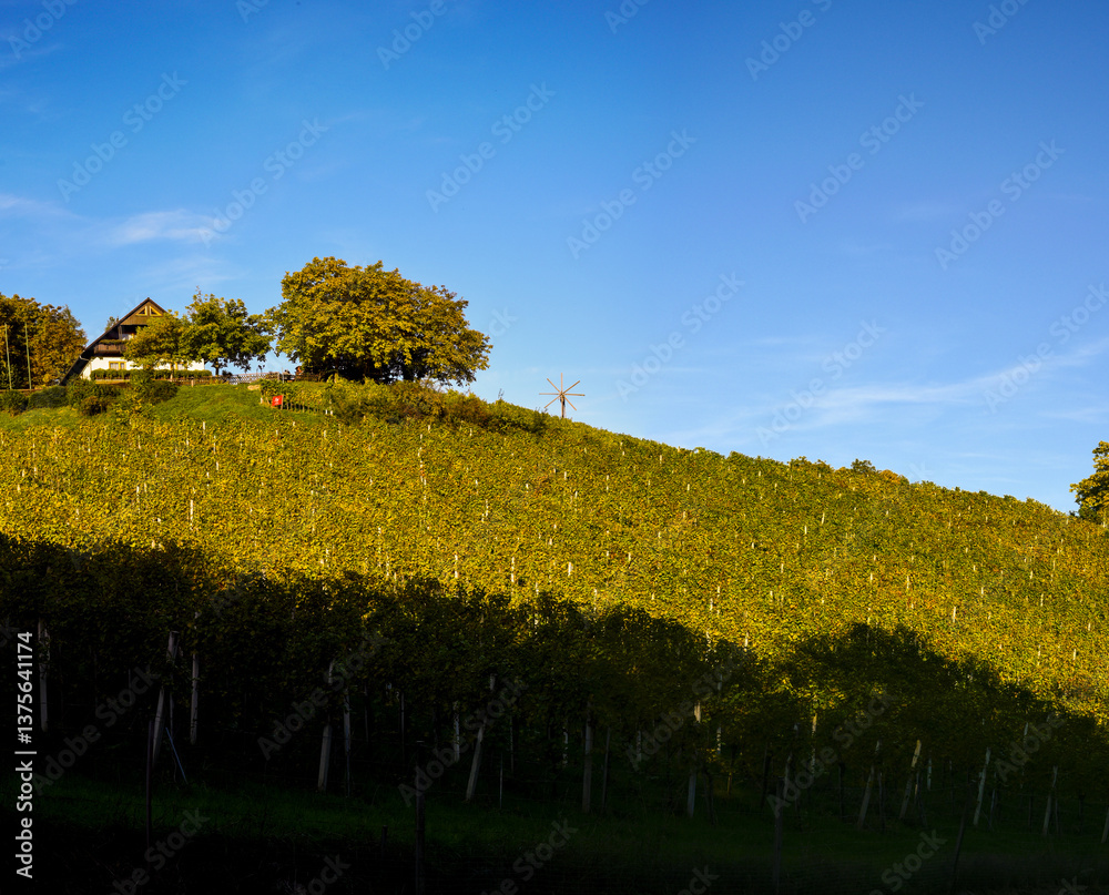 Weingut Stöckl Peter, Schilcher Weinstrasse, Deutschlandsberg,