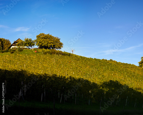 Obraz na płótnie Weingut Stöckl Peter, Schilcher Weinstrasse, Deutschlandsberg, w salonie