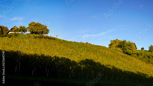 Obraz na płótnie Weingut Stöckl Peter, Schilcher Weinstrasse, Deutschlandsberg, w salonie