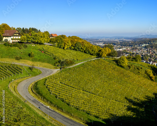Obraz na płótnie Weingut Stöckl Peter, Schilcher Weinstrasse, Deutschlandsberg, w salonie