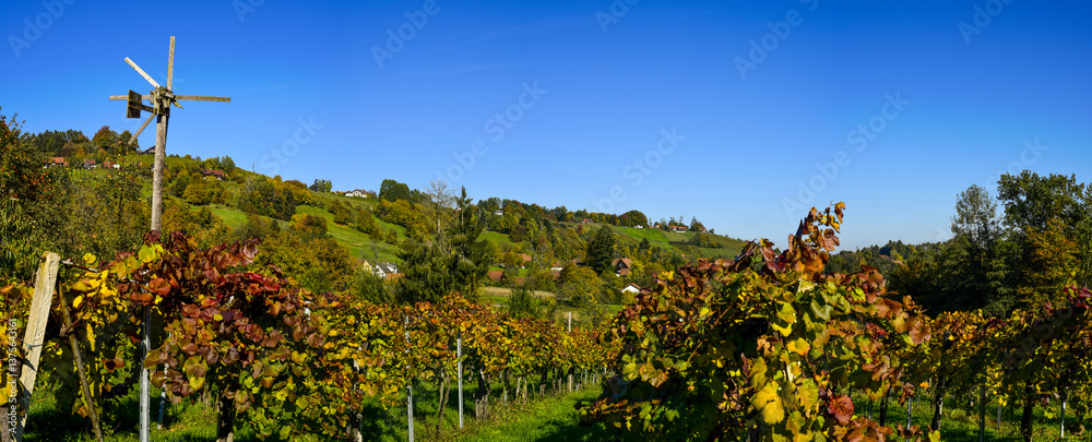 Schilcher Weinstrasse, Bad Gams, Steiermark, Österreich, 2015