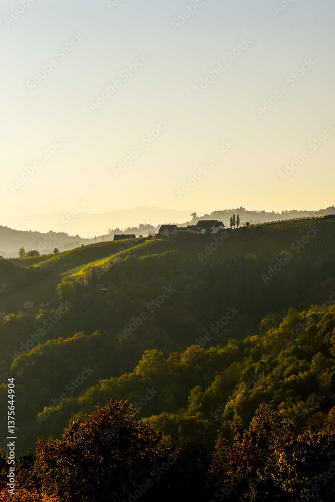 Römerstrasse, Weinbaugebiet Sausal, Steiermark, Österreich, 20