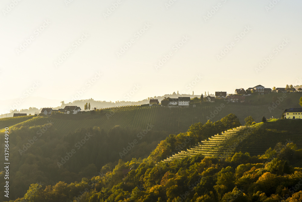 Römerstrasse, Weinbaugebiet Sausal, Steiermark, Österreich, 20